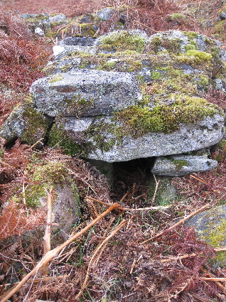 Flue of lime kiln at Auchdrumnahuagie